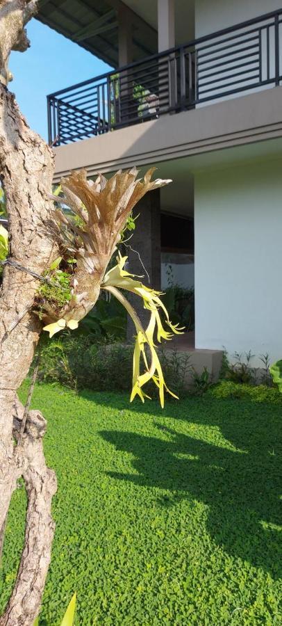 Indraprastha Cottage Ubud מראה חיצוני תמונה